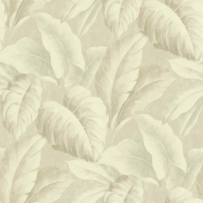 کاغذ دیواری قابل شستشو عرض 50 Deco 4 Walls آلبوم بوتانیکال کد BA2405-F