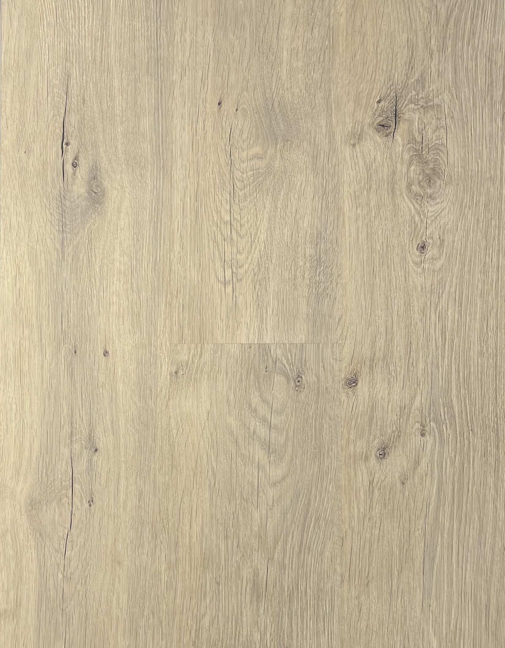 لمینیت پالاز آلبوم روت کد RT1703 با ضخامت ۸ میلیمتر و ضریب سایش AC4