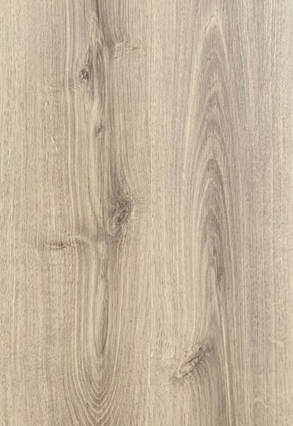 لمینیت پالاز آلبوم روت پلاس کد RP1707 با ضخامت ۸ میلیمتر و ضریب سایش AC4