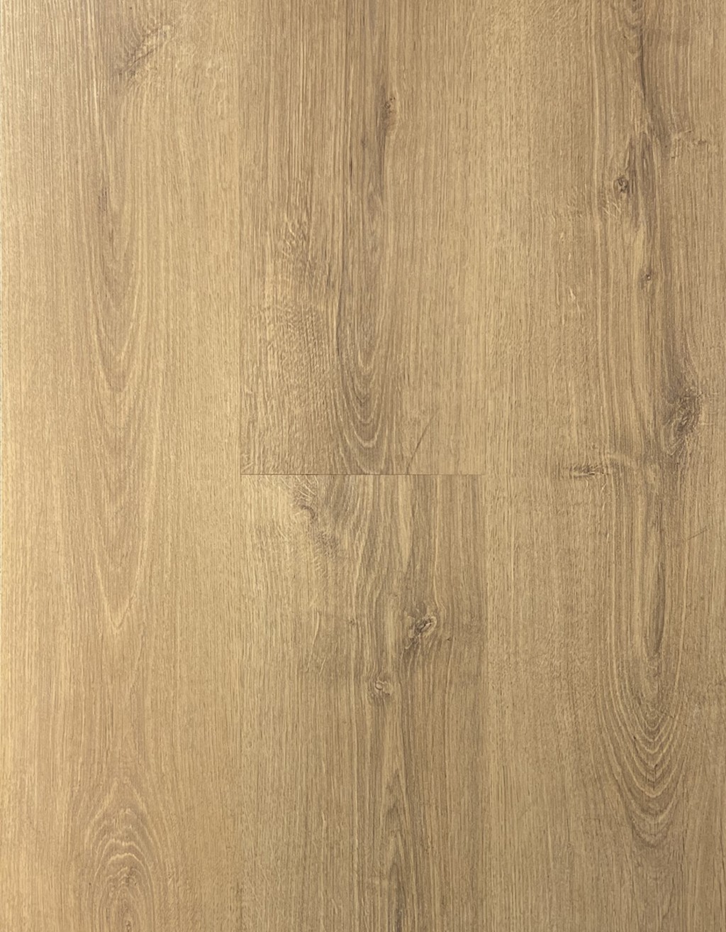 لمینیت پالاز آلبوم روت پلاس کد RP1713 با ضخامت ۸ میلیمتر و ضریب سایش AC4