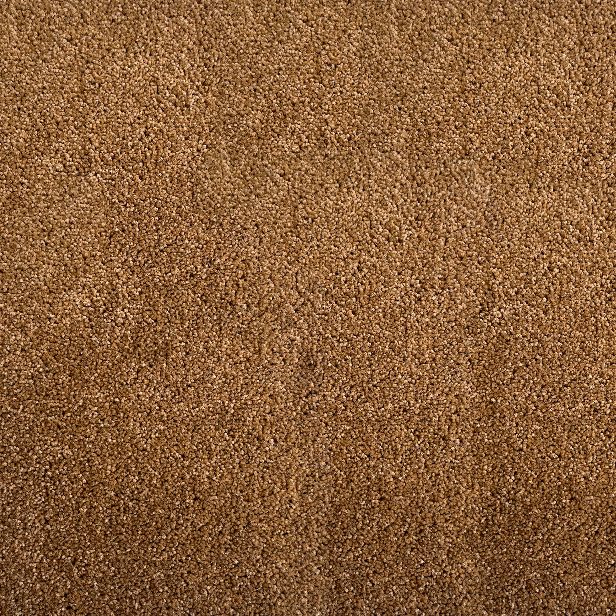 موکت کات پالاز آلبوم کات بی مینیمال کد 5526